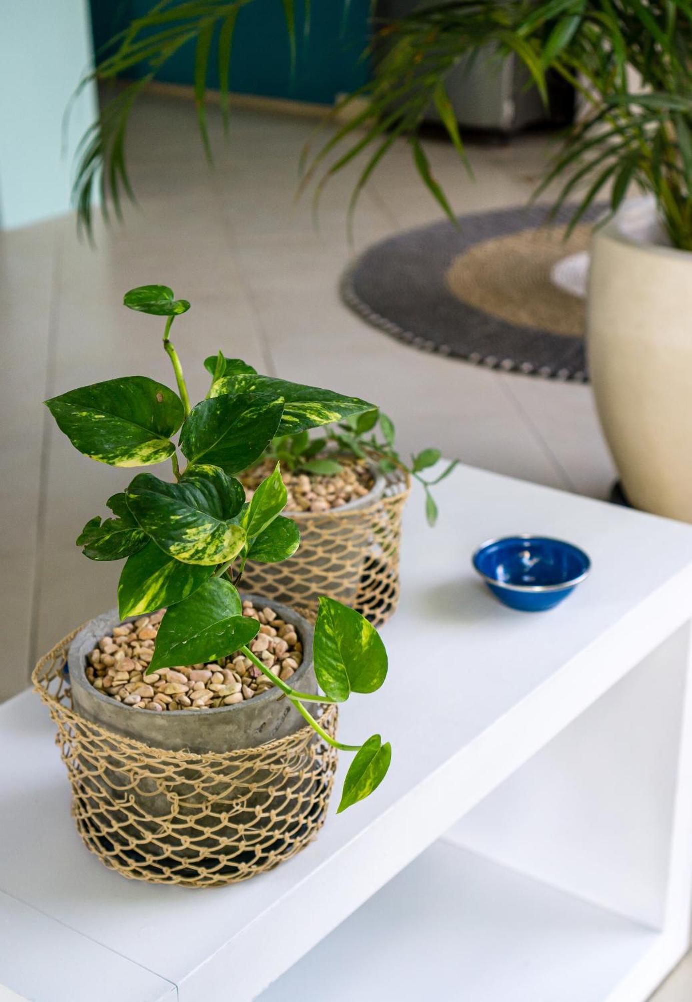 Domi - Cozy & Budget-friendly 1br Honeymoon In With Private Pool * Seminyak (Bali)